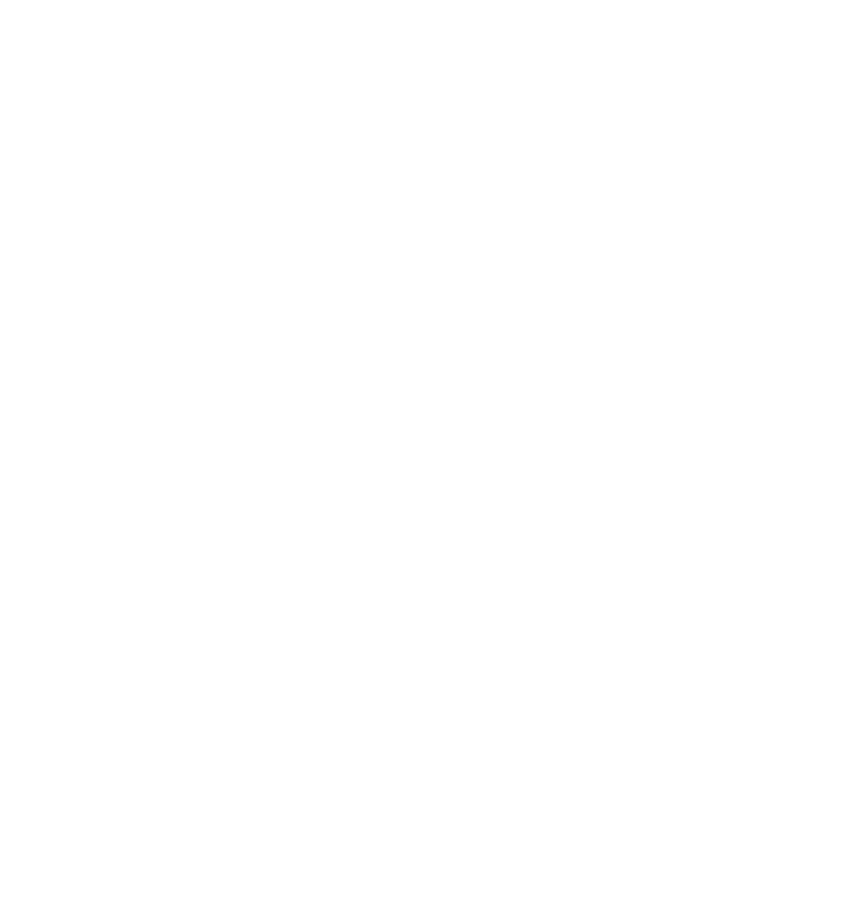 نص شركة